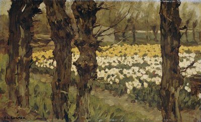 Champs de tulipes - Anton L. Koster
