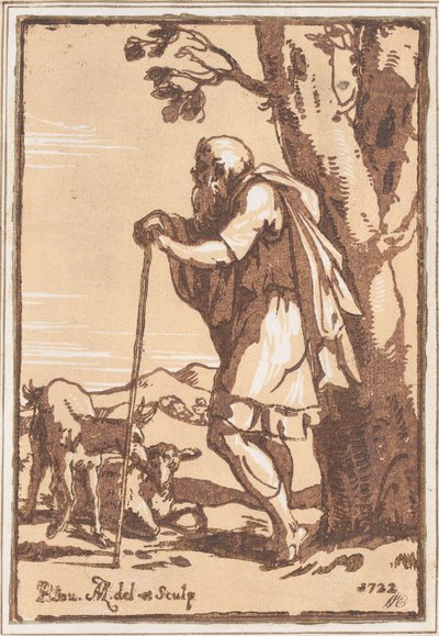 Vieux berger s