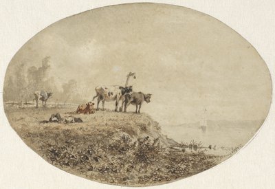 Vaches près de l