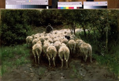 Moutons dans la forêt - Anton Mauve