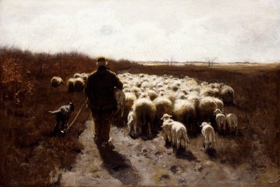 Retour du troupeau - Anton Mauve