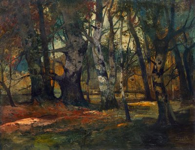 Forêt d