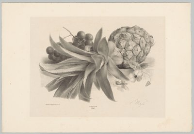 Ananas et raisins (Bloem en Fruit Studien, 10e aflevering) - Anton Weiss