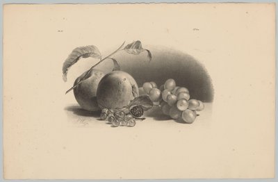Pommes, baies, mûre et raisins (3e épisode de la série 