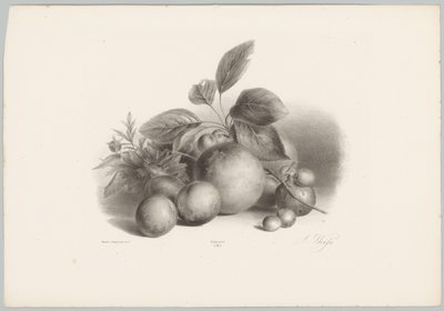Fleurs, nectarines et noisettes (Bloem en Fruit Studien, 10e aflevering) - Anton Weiss