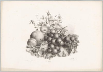 Fleurs, pêche, nectarine, raisins et mûres - Anton Weiss