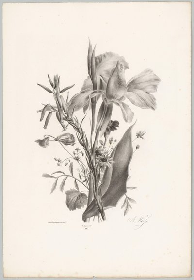 Fleurs diverses - Anton Weiss