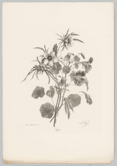 Fleurs diverses - Anton Weiss