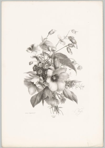 Fleurs diverses (série: Études de fleurs et de fruits, 10e livraison) - Anton Weiss
