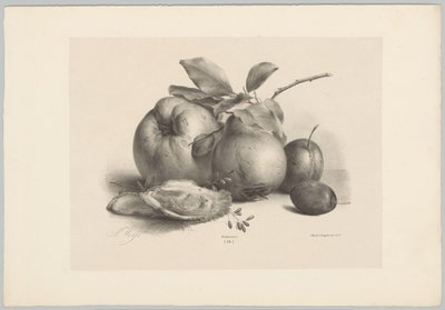 Fruits, prunes et huîtres (Bloem en Fruit Studien, 10e aflevering) - Anton Weiss