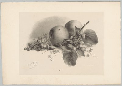 Pêches, baies, noisettes et mûres (Bloem en Fruit Studien, 10e aflevering) - Anton Weiss