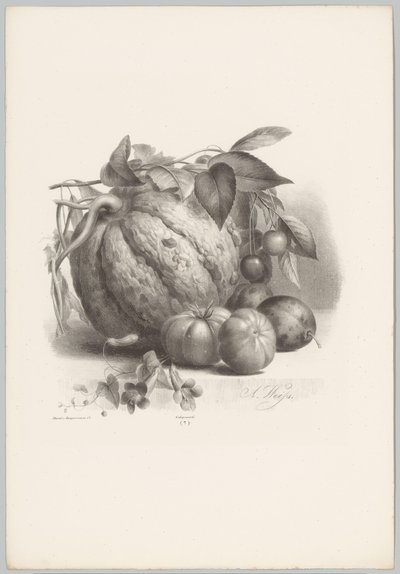 Citrouille, tomates et cerises - Anton Weiss
