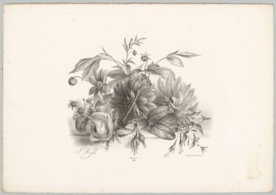 Roses, dahlias et fuchsias (Bloem en Fruit Studien, 10e aflevering) - Anton Weiss