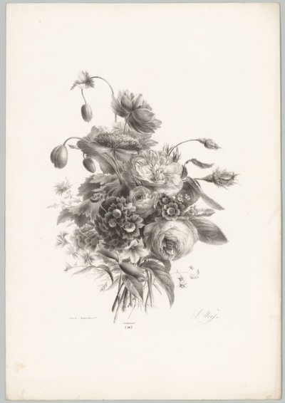 Roses et autres fleurs - Anton Weiss