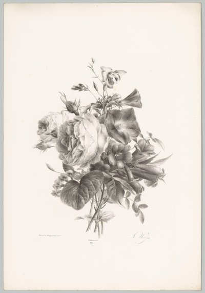 Roses et fleurs en forme de calice (série: Études de fleurs et de fruits, 10e livraison) - Anton Weiss