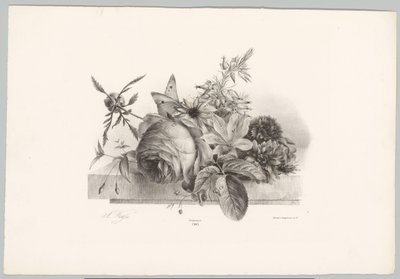 Roses, lys, fleurs en forme de cloche et papillon - Anton Weiss