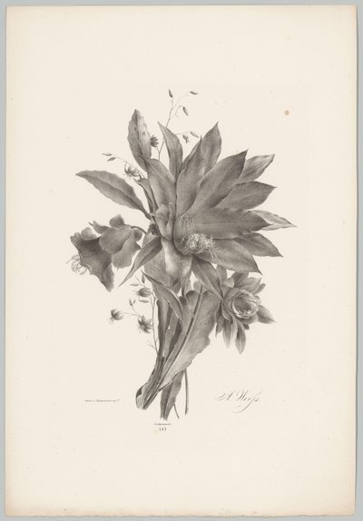 Fleurs en forme d