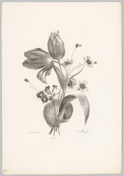 Tulipes et marguerites - Anton Weiss