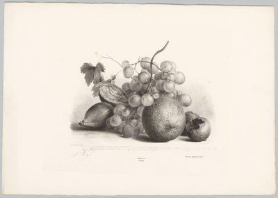 Figues, raisins et orange (Bloem en Fruit Studien, 10e aflevering) - Anton Weiss