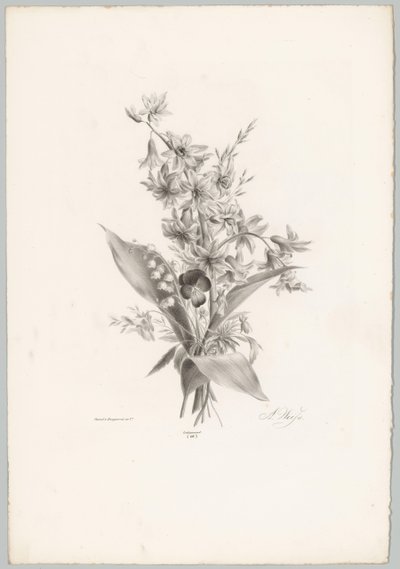 Violette et fleurs en forme de jacinthe et de cloche (Bloem en Fruit Studien, 10e aflevering) - Anton Weiss