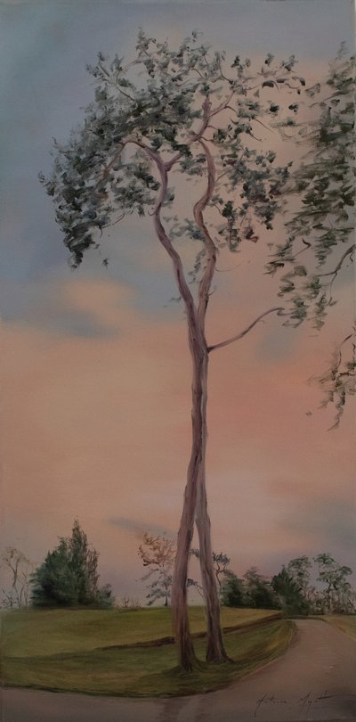 Arbres de Tapeley Park, 2013 - Antonia Myatt