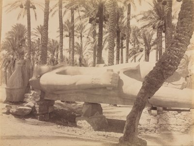 Statue de Ramsès à Saqqarah, vers 1870-1880 - Antonio Beato
