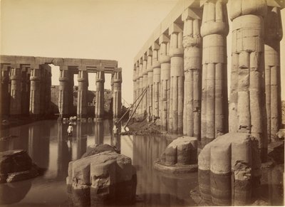 La cour inondée d