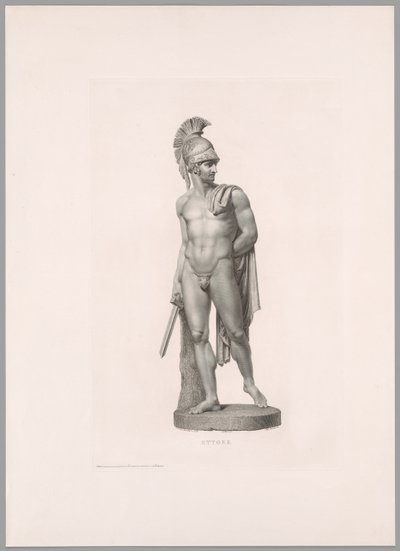 Ettore, vue de face, de l