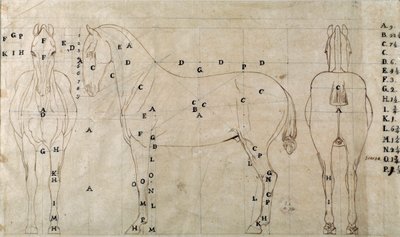 Étude pour un cheval pour un monument équestre - Antonio Canova
