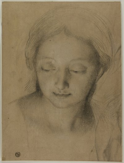 Tête de femme - Antonio Cavallucci