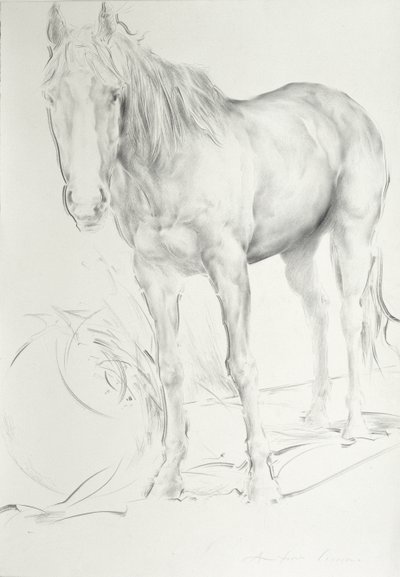 Cheval à Coolmore, 1990 - Antonio Ciccone