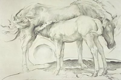 Chevaux à Coolmore, 1990 - Antonio Ciccone