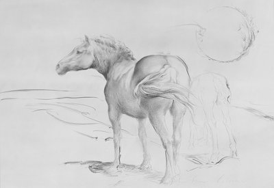 Chevaux à Coolmore, 1990 - Antonio Ciccone
