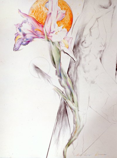 Image inconnue - Antonio Ciccone