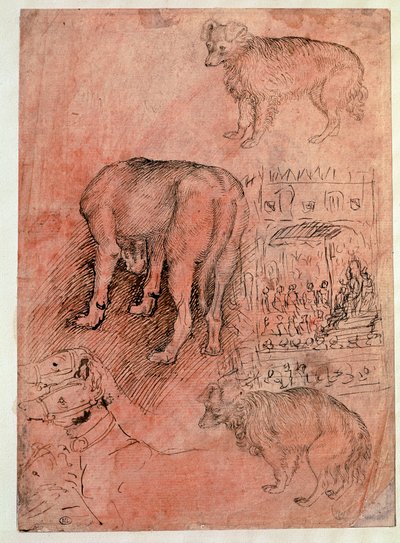 Études de chiens. Épisode aulique. Dessin par Antonio Pisano dit il Pisanello (1380-1455) - Antonio Pisanello