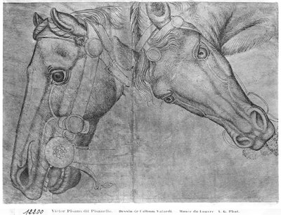 Têtes de chevaux, de l