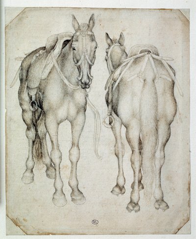 Deux harnais, vus de trois quarts, l