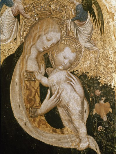 Vierge à la caille - Antonio Pisanello
