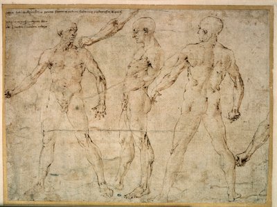 Trois hommes nus. Dessin par Antonio Pollaiuolo - Antonio Pollaiuolo
