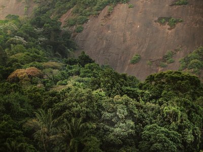 Corcovado XV, 2020 - Antonio Schubert