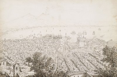 Vue panoramique de Naples - Antonio Senape