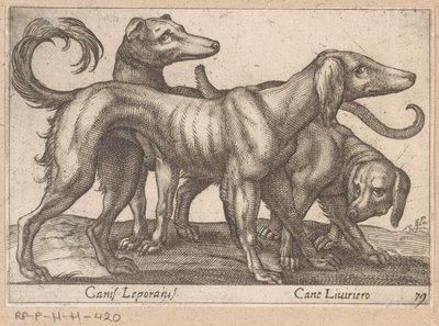 Trois chiens - Antonio Tempesta