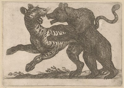 Un ours combattant un tigre (Vechtende dieren, série) - Antonio Tempesta