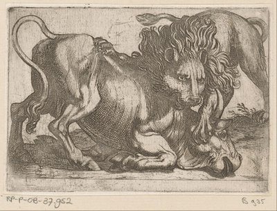 Un lion attaquant un taureau - Antonio Tempesta