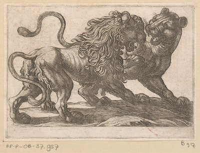 Un lion combattant une lionne (série Vechtende dieren) - Antonio Tempesta