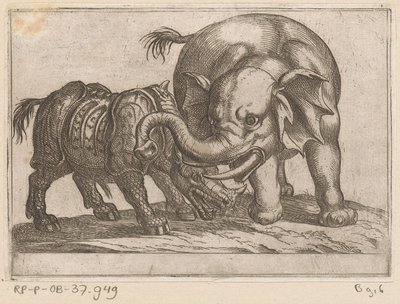 Un rhinocéros combat un éléphant - Antonio Tempesta