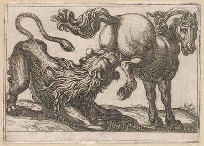 Un cheval piétinant un lion - Antonio Tempesta