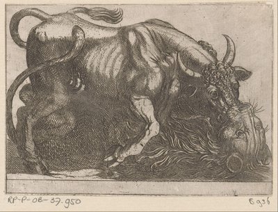 Un taureau combattant avec un lion - Antonio Tempesta