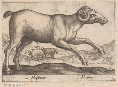 Caprin (Animaux et créatures fabuleuses) - Antonio Tempesta