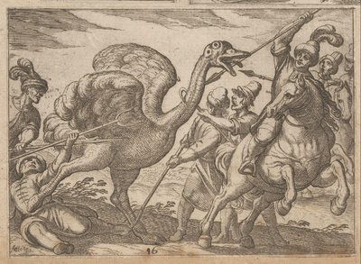 Chasse à l